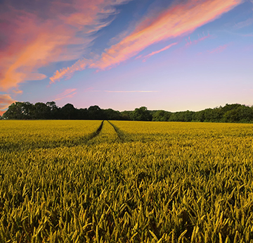 Pixabay image: Pete Linforth