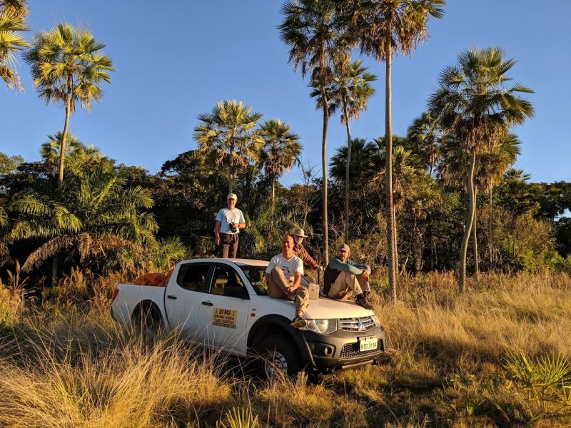 fieldwork